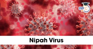 Nipah Virus (NiV)