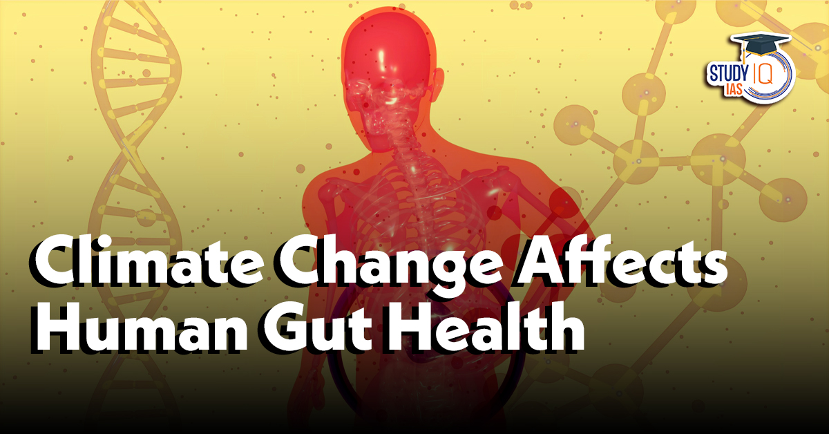 How Climate Change Disrupting Human Gut