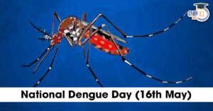 National Dengue Day