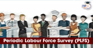 Periodic Labour Force Survey (PLFS)