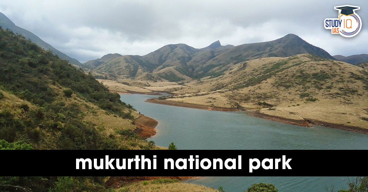 Mukurthi National Park