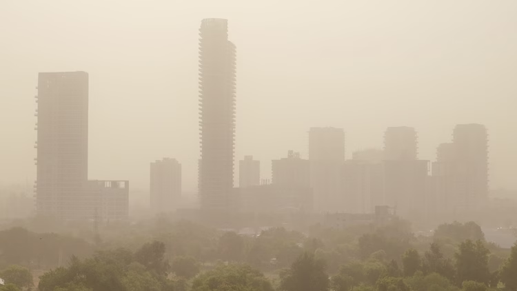 Haze