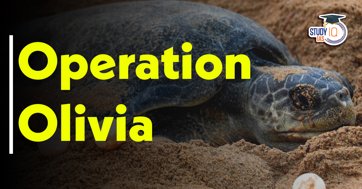 Operation Olivia