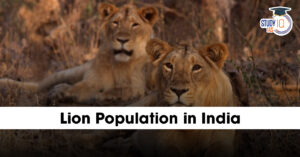 Lion Population in India