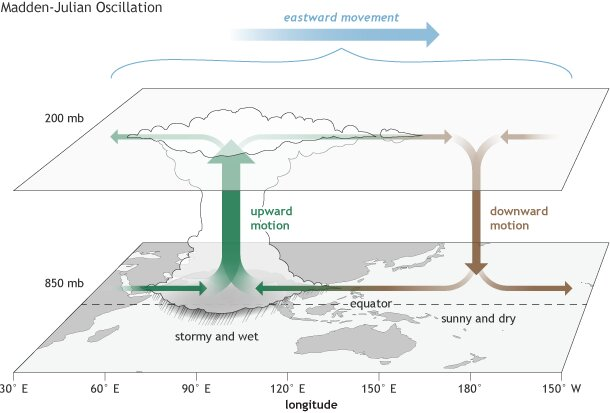 Madden-Julian Oscillation (MJO)