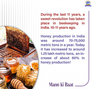 Information on Honey Production in India