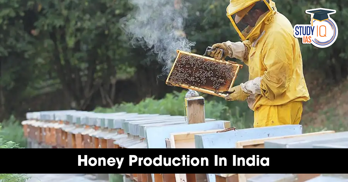 Honey Production in India