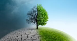 Climate Change Performance Index 2025