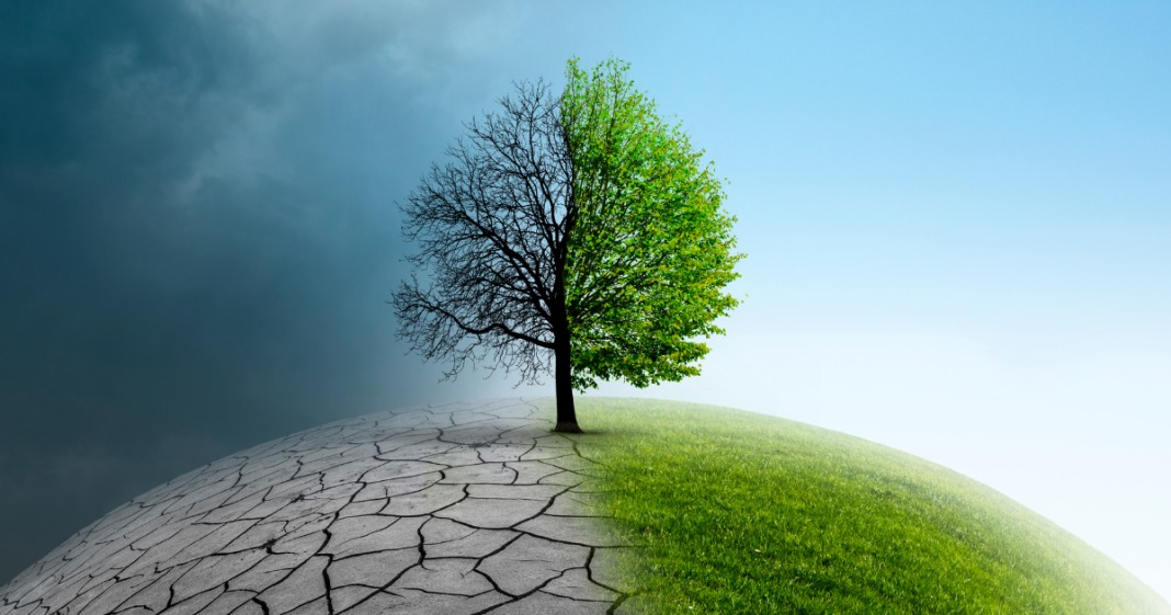 Climate Change Performance Index 2025