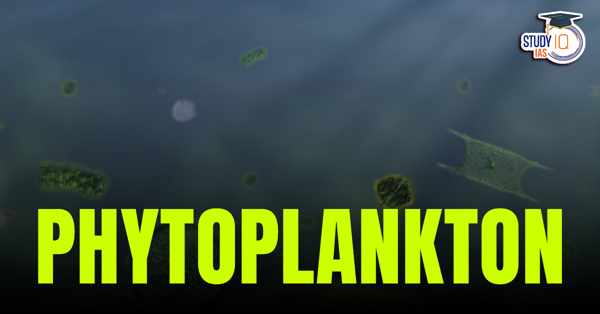 Phytoplankton