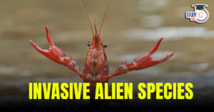 Invasive Alien Species