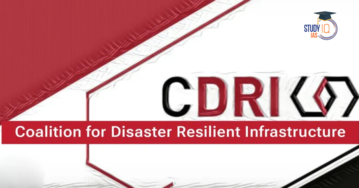 Coalition for Disaster Resilient Infrastructure (CDRI)
