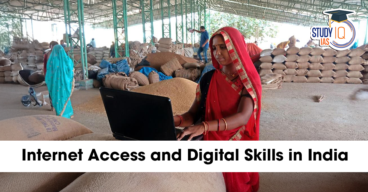 Internet Access and Digital Skills in India