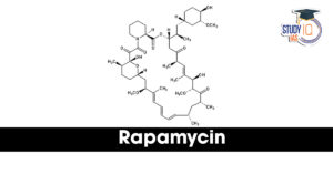 Rapamycin
