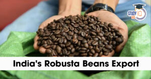 Coffee Plantation in India
