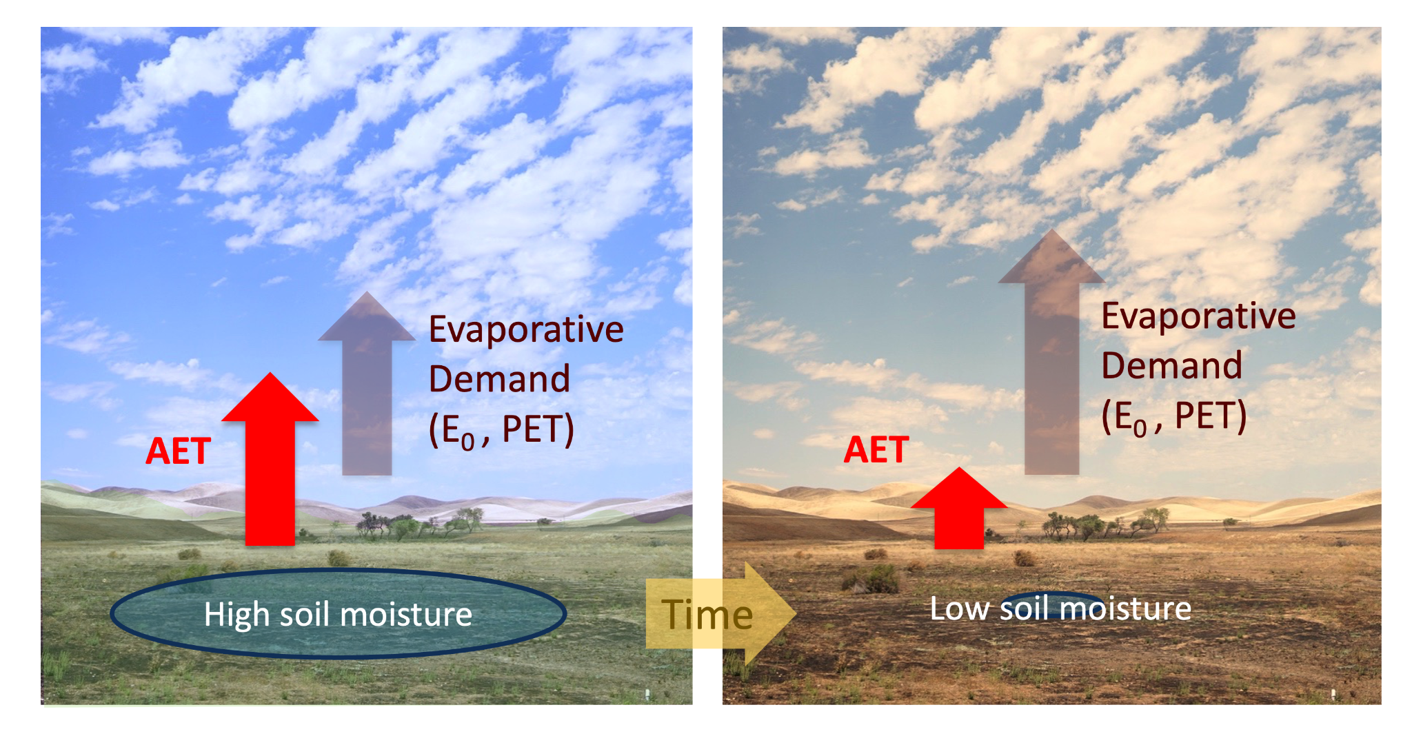 Evaporative Demand: Main Drivers and its Environmental Impact_4.1