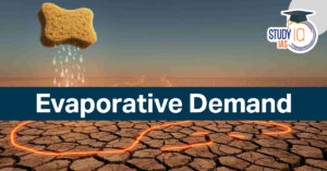 Evaporative Demand