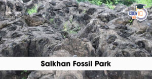 Salkhan Fossil Park
