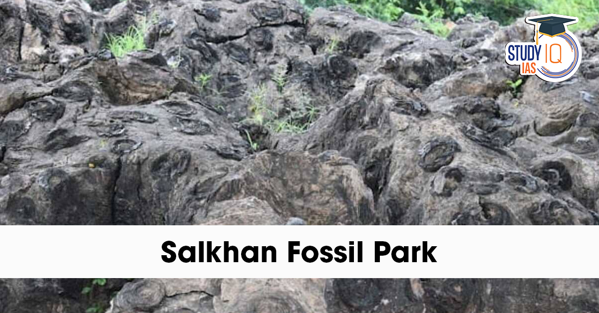 Salkhan Fossil Park