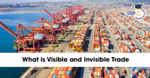 What is Visible and Invisible Trade?