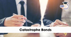 Cat Bonds (Catastrophe Bonds)