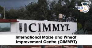 International maize and wheat improvement center (CIMMYT)