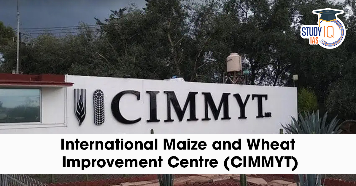 International maize and wheat improvement center (CIMMYT)