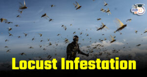 Locust Infestation