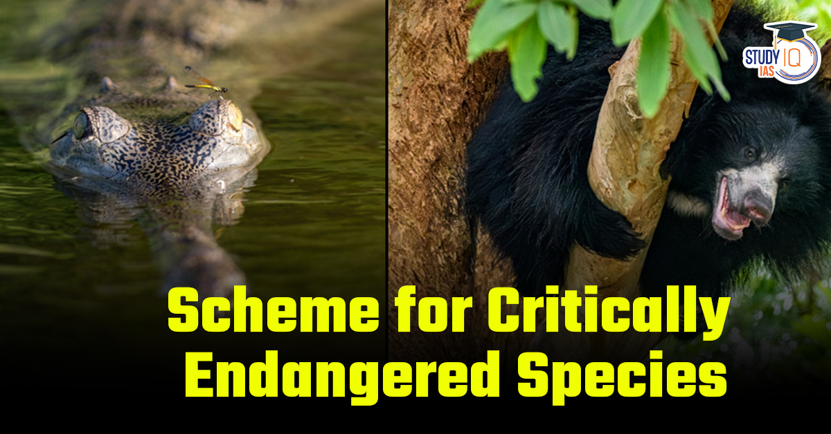 Scheme for Critically Endangered Species