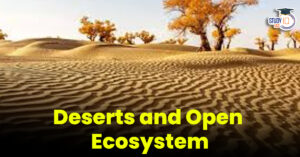 Deserts and Open Ecosystems