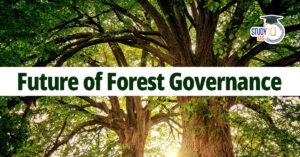 Forest Management in India and Forest Governance
