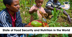 State of Food Security and Nutrition in the World
