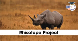 Rhisotope Project