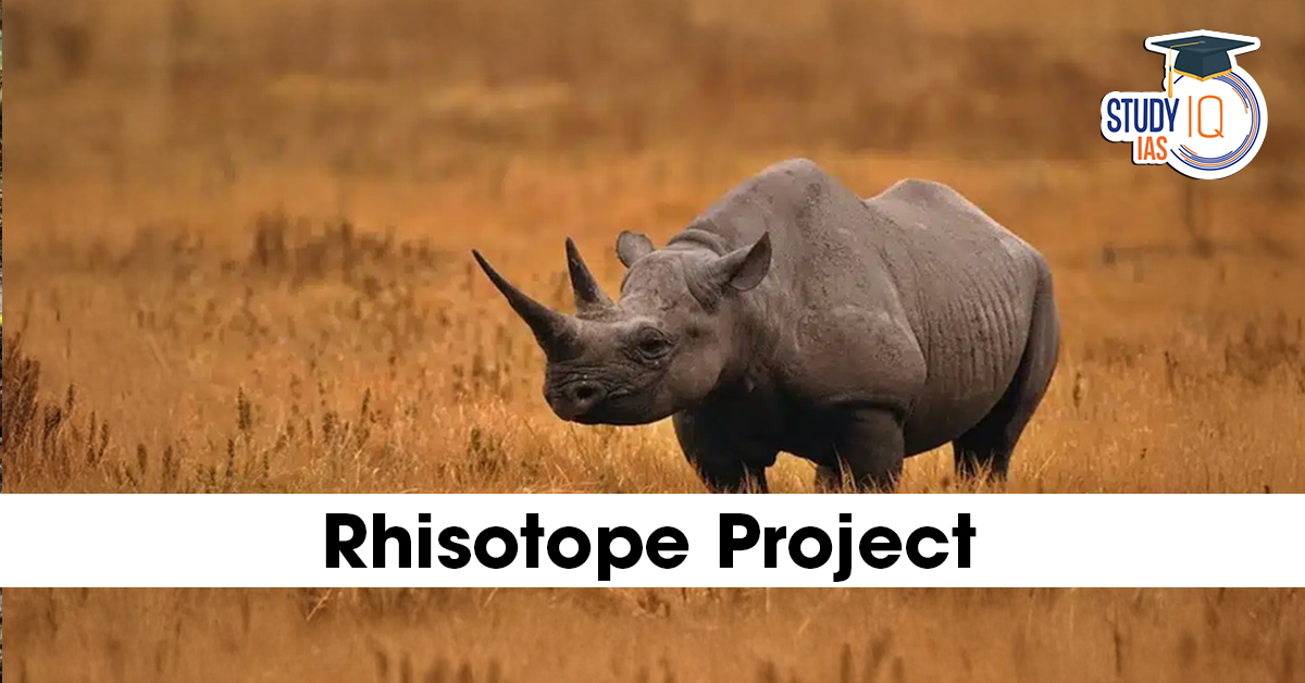 Rhisotope Project