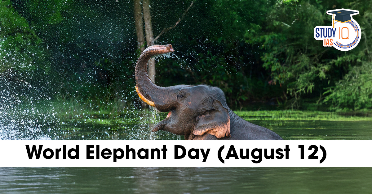World Elephant Day 2025