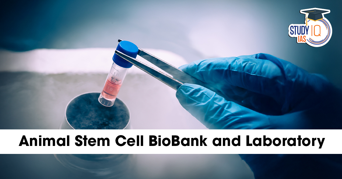 Animal Stem Cell BioBank and Laboratory