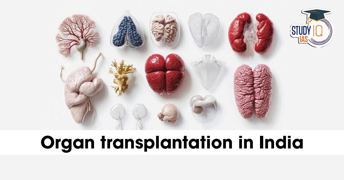 Organ Transplantation in India