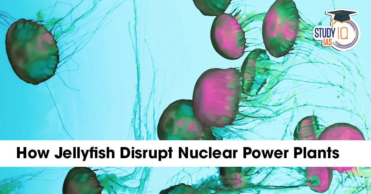 How Jellyfish Disrupt Nuclear Power Plants