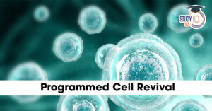 Programmed Cell Revival