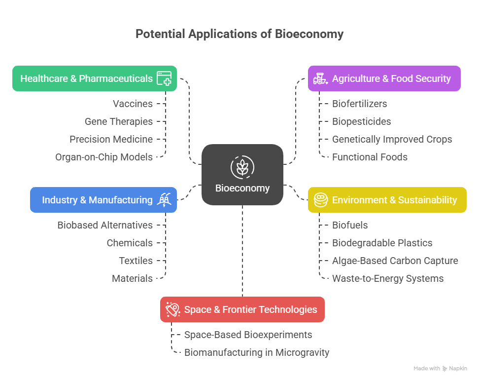 potential applications of bioeconomy