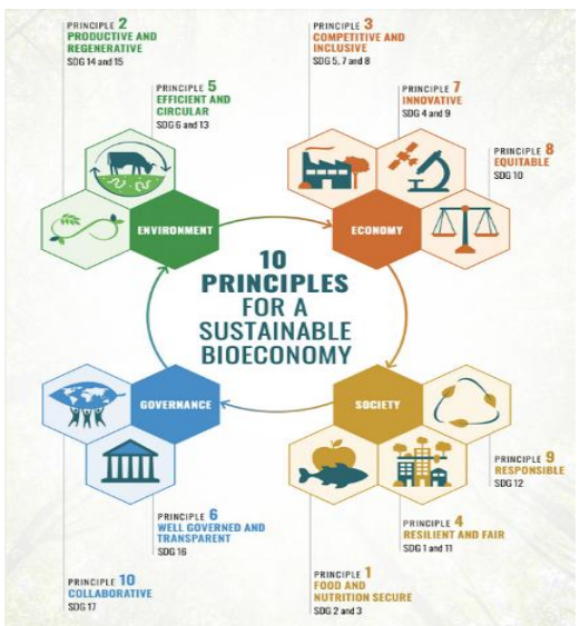 sustainable bioeconomy