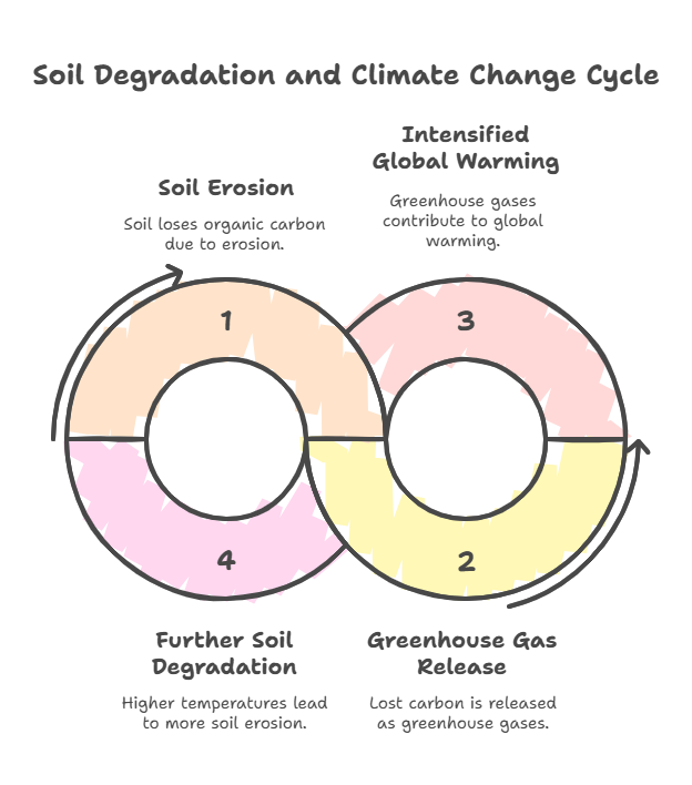 Rising Soil Crisis