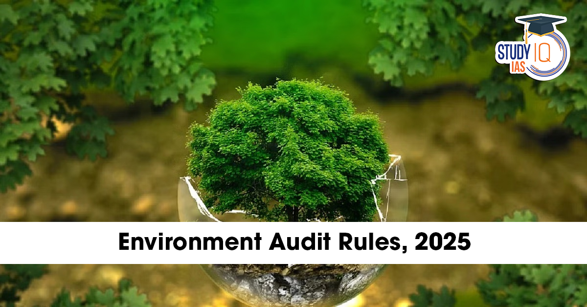 Environment Audit Rules 2025