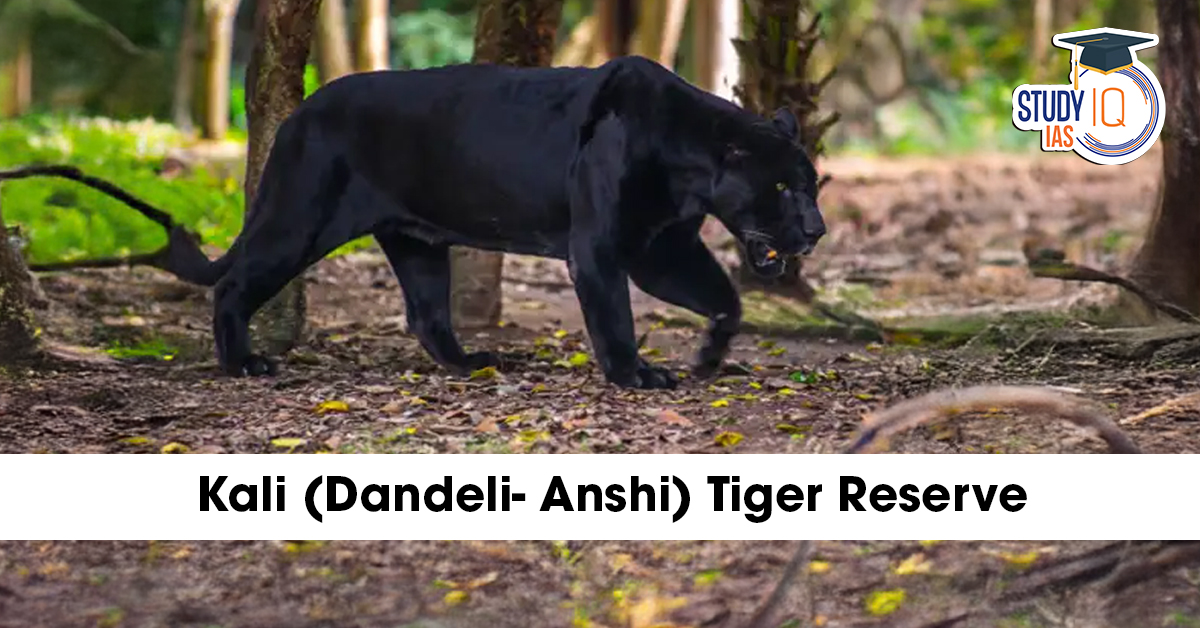 Kali (Dandeli- Anshi) Tiger Reserve