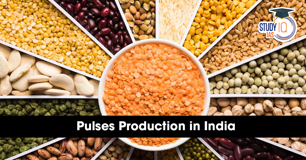 Pulses Production in India