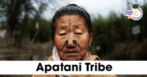 Apatani Tribe