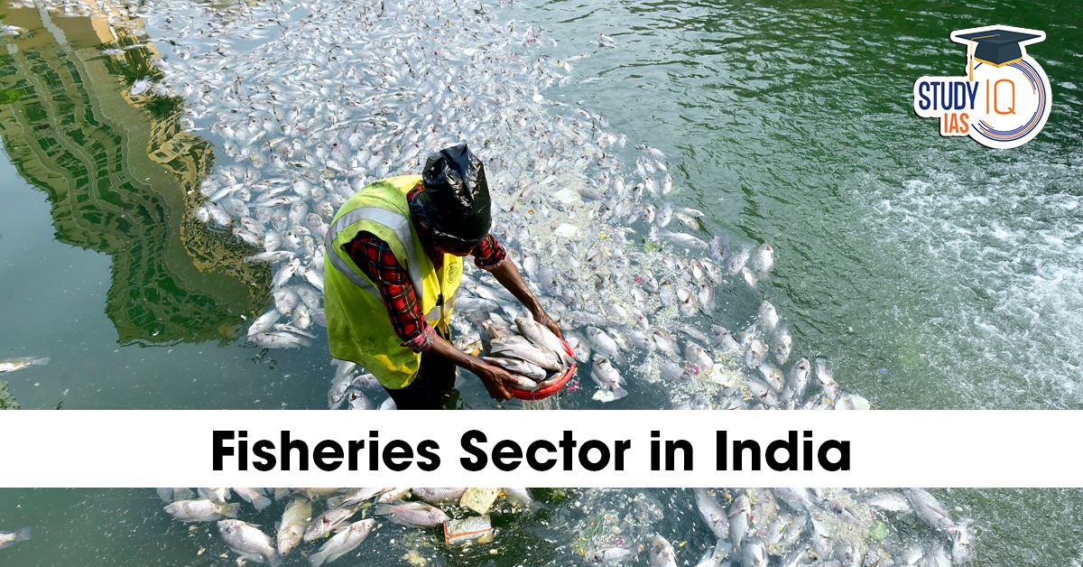Fisheries Sector in India