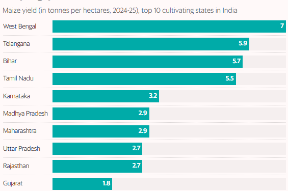 India's Corn Production