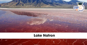 Lake Natron