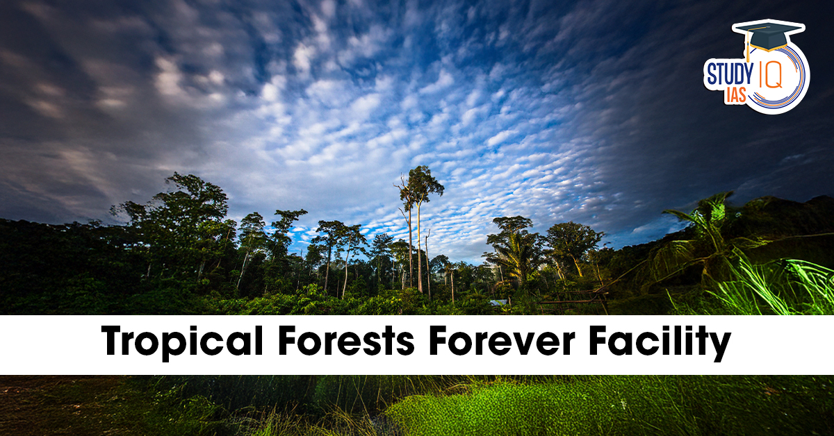 Tropical Forests Forever Facility